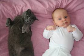 кошка и младенец